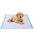Tapis éducateurs 90x60 cm - 100 pièces