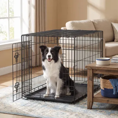 FEANDREA - Cage de transport pliable pour chien
