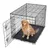 FEANDREA - Cage de transport pliable pour chien FEANDREA - Cage de transport pliable pour chien