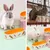Zatte Gamelle Céramique pour Lapin et Petits Animaux - Stable Antidérapante