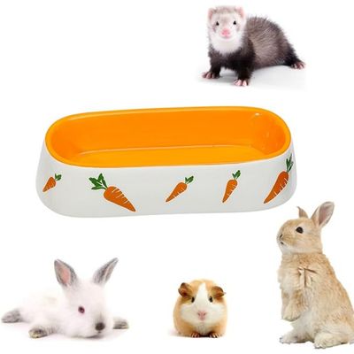 Zatte Gamelle Céramique pour Lapin et Petits Animaux - Stable Antidérapante