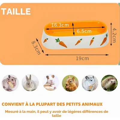 Zatte Gamelle Céramique pour Lapin et Petits Animaux - Stable Antidérapante
