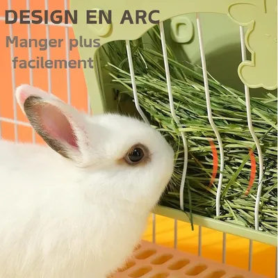 Zatte Râtelier à Foin Suspendu pour Lapins et Petits Animaux - Vert