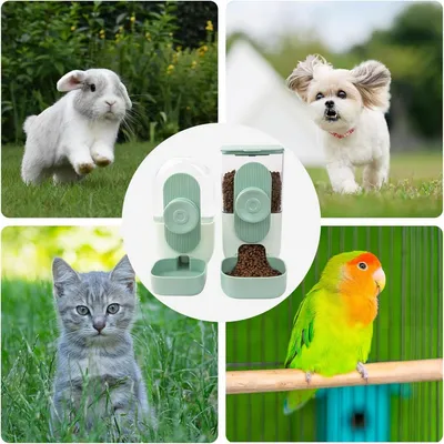 Zatte Distributeur Suspendu Automatique Nourriture et Eau Petits Animaux Zatte Distributeur Suspendu Automatique Nourriture et Eau Petits Animaux