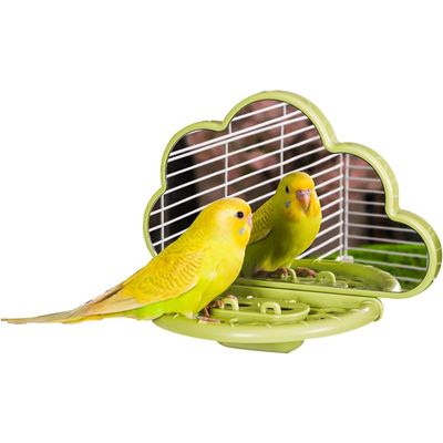 Zatte Miroir à Oiseaux avec Perchoir pour Perruches et Canaris - Vert
