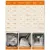 Feandrea - Sac Transport Chien - Caisse Pliable Animaux Feandrea - Sac Transport Chien - Caisse Pliable Animaux