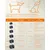 Feandrea - Sac Transport - Caisse Pliable Animaux de Companie