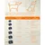 Feandrea - Sac Transport - Caisse Pliable Animaux de Companie