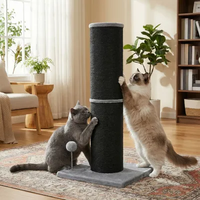 FEANDREA - Griffoir pour chat - Tronc épais et balle