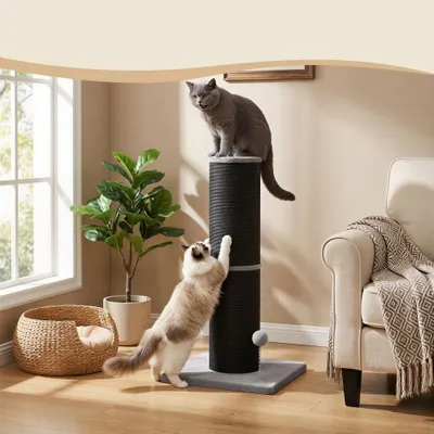 FEANDREA - Griffoir pour chat - Tronc épais et balle