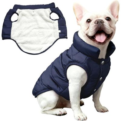 Zatte Manteau d'Hiver Polaire Imperméable Chihuahua Teckel - Bleu M