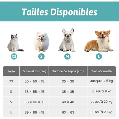 Zatte Lit Cachère Donut 50 cm avec Couverture pour Chat et Petit Chien