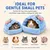 Zatte Panier pour Hamster et Petits Animaux - Cachette 2 Tailles Lavable