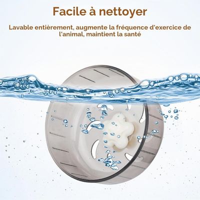 Zatte Roue d'Exercice Silencieuse pour Hamster 13 cm - Antidérapante