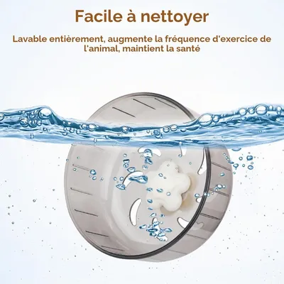 Zatte Roue d'Exercice Silencieuse pour Hamster 13 cm - Antidérapante Zatte Roue d'Exercice Silencieuse pour Hamster 13 cm - Antidérapante