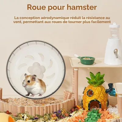 Zatte Roue d'Exercice Silencieuse pour Hamster 13 cm - Antidérapante Zatte Roue d'Exercice Silencieuse pour Hamster 13 cm - Antidérapante