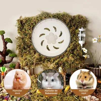 Zatte Roue d'Exercice Silencieuse pour Hamster 13 cm - Antidérapante Zatte Roue d'Exercice Silencieuse pour Hamster 13 cm - Antidérapante