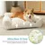 Zatte Canapé-Lit Orthopédique 65×44 cm pour Petit Chat et Chien Zatte Canapé-Lit Orthopédique 65×44 cm pour Petit Chat et Chien