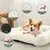Zatte Canapé-Lit Orthopédique 65×44 cm pour Petit Chat et Chien Zatte Canapé-Lit Orthopédique 65×44 cm pour Petit Chat et Chien