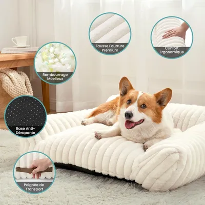 Zatte Canapé-Lit Orthopédique 65×44 cm pour Petit Chat et Chien Zatte Canapé-Lit Orthopédique 65×44 cm pour Petit Chat et Chien