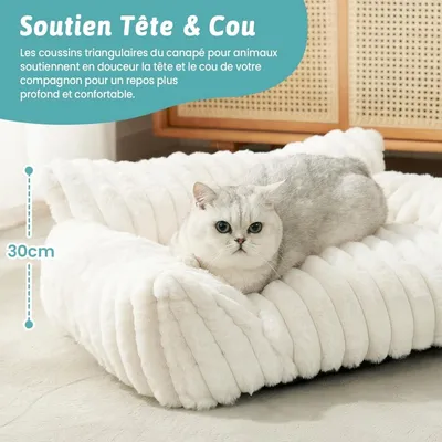 Zatte Canapé-Lit Orthopédique 65×44 cm pour Petit Chat et Chien Zatte Canapé-Lit Orthopédique 65×44 cm pour Petit Chat et Chien