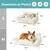 Zatte Canapé-Lit Orthopédique 65×44 cm pour Petit Chat et Chien Zatte Canapé-Lit Orthopédique 65×44 cm pour Petit Chat et Chien