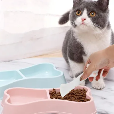 Zatte Lot de 3 Cuillères Chat avec Couvercles Hermétiques et Ouvre-boîte
