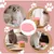 Zatte Lot de 3 Cuillères Chat avec Couvercles Hermétiques et Ouvre-boîte