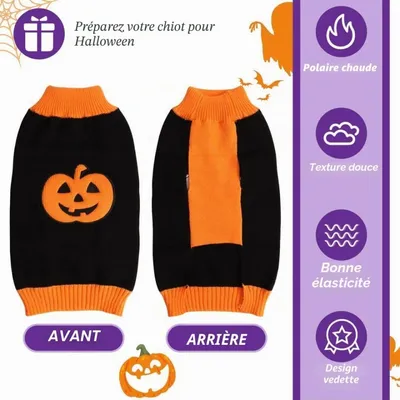 Zatte Pull Halloween Citrouille Tricoté pour Chien et Chat - Taille M
