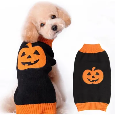 Zatte Pull Halloween Citrouille Tricoté pour Chien et Chat - Taille M