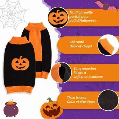 Zatte Pull Halloween Citrouille Tricoté pour Chien et Chat - Taille M