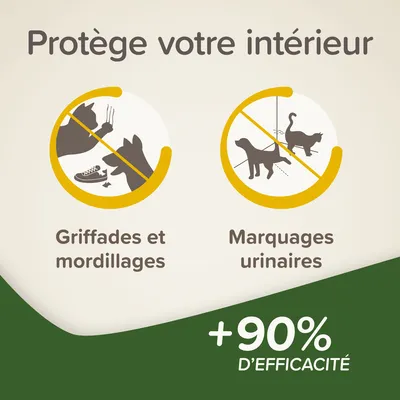Spray répulsif INDOOR pour chiens et chats - 200 ml - Beaphar