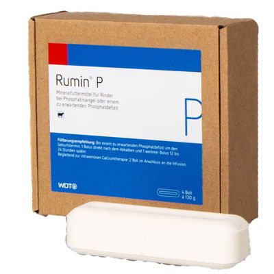 WDT Rumin P