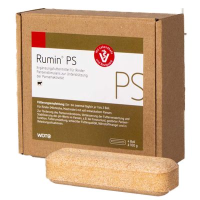 WDT Rumin PS