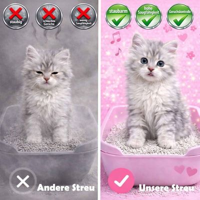 Cancat Katzenstreu Bentonitstreu klumpend