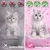 Cancat Katzenstreu Bentonitstreu klumpend Cancat Katzenstreu Bentonitstreu klumpend