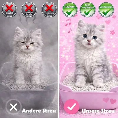 Cancat Katzenstreu Bentonitstreu klumpend Cancat Katzenstreu Bentonitstreu klumpend