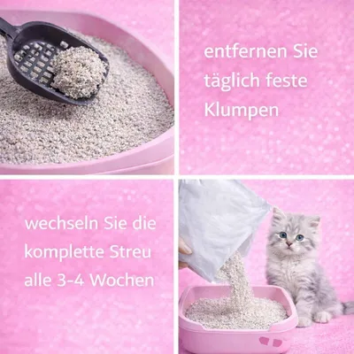 Cancat Katzenstreu Bentonitstreu klumpend Cancat Katzenstreu Bentonitstreu klumpend