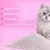 Cancat Katzenstreu Bentonitstreu klumpend Cancat Katzenstreu Bentonitstreu klumpend