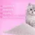 Catsil Ultra white Klumpendes Katzenstreu Babypuderduft Catsil Ultra white Klumpendes Katzenstreu Babypuderduft