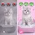 Powercat Katzenstreu Silikatstreu Silicat Powercat Katzenstreu Silikatstreu Silicat