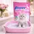 Powercat Katzenstreu Silikatstreu Silicat Powercat Katzenstreu Silikatstreu Silicat
