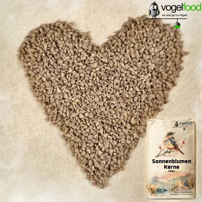 Sonnenblumenkerne Bruch gebrochen Vogelfutter Vogelfood Sonnenblumenkerne Bruch gebrochen Vogelfutter Vogelfood