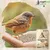 Sonnenblumenkerne Bruch gebrochen Vogelfutter Vogelfood Sonnenblumenkerne Bruch gebrochen Vogelfutter Vogelfood