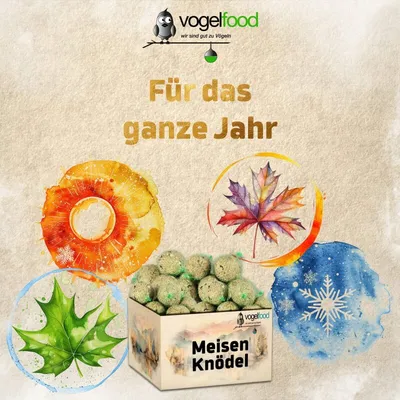 Meisenknödel mit Netz Marke Vogelfood Vogelfutter Meisenknödel mit Netz Marke Vogelfood Vogelfutter