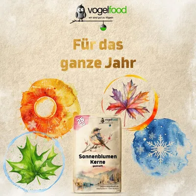 Sonnenblumenkerne gestreift Vogelfutter Streufutter Marke Vogelfood Sonnenblumenkerne gestreift Vogelfutter Streufutter Marke Vogelfood