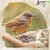 Sonnenblumenkerne gestreift Vogelfutter Streufutter Marke Vogelfood Sonnenblumenkerne gestreift Vogelfutter Streufutter Marke Vogelfood