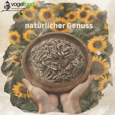 Sonnenblumenkerne gestreift Vogelfutter Streufutter Marke Vogelfood