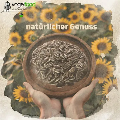 Sonnenblumenkerne gestreift Vogelfutter Streufutter Marke Vogelfood