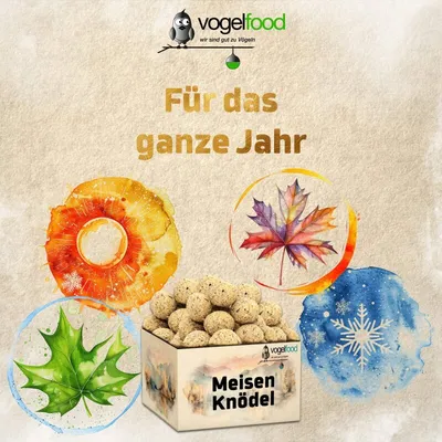 Meisenknödel ohne Netz Marke Vogelfood